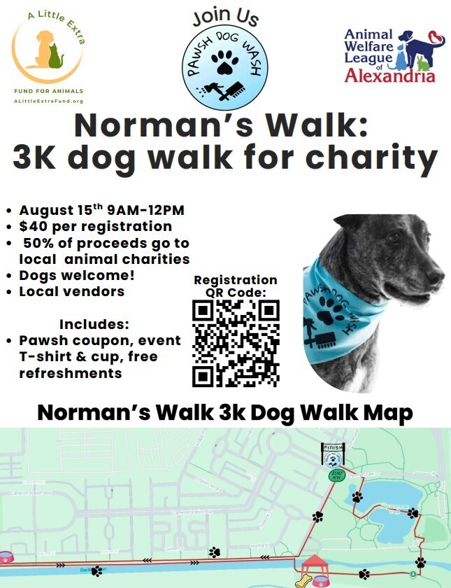 Normans Walk Flyer 2026